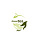 Чай Globaltea
