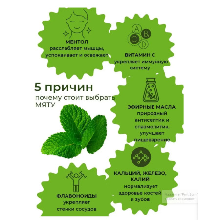 Травяной чай Мята 30 гр. 