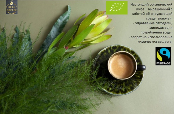 Кофе в капсулах Real Coffee Espresso Roma, 10 капсул в магазине ТеаКофее, фото
